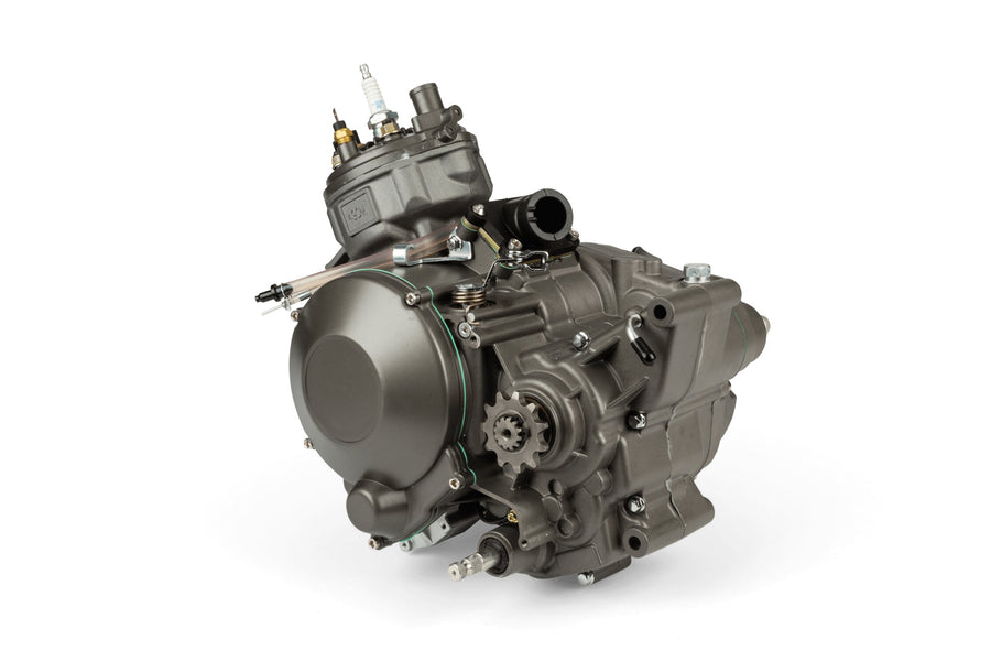 Rieju MRT Pro 50 2T - Komplettmotor