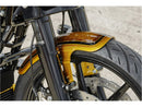 Harley Davidson Touring [RICK'S MOTORCYCLES] - Touring framskärm-3