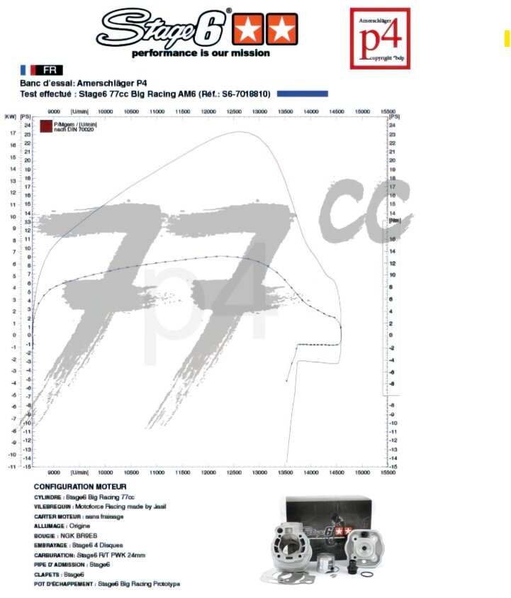 Aprilia RX 50 2T D50B1 [2006–] - Motorpaket Big Racing 77cc