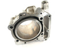 Aprilia Mille RSV 1000 ME [1999] - Cylinder bakcylinder-1