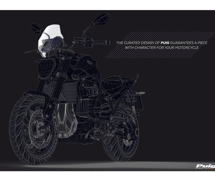 BMW R 1250 R [2018] – New Generation Sport – Getönt