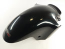 Kawasaki ZX -12R ZXT20A [2004] - Fender Frontfender Fender-3