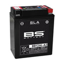 Yamaha XT 600 2KF [BS BATTERY] - Motorradbatterie-1