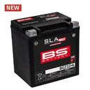 Harley-Davidson Ultra Limited FLHTK [BS BATTERY] - Motorradbatterie-1