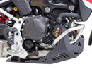 Bmw F 900 Gs Adventure [AXP] - Adventure Unterfahrschutz - PE-HD 8mm-3