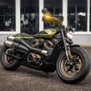 harley-davidson sportster s [HEINZ BIKES] – NANO Strahler-2
