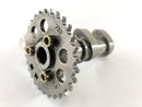 Aprilia RSV 1000 RR Factory [2009] - Kamaxelkamaxelcylinder-4
