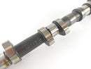 Triumph Sprint 955i Rs T695 [2000] - Ncokenwafel Outlet Camaxel-3
