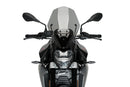 BMW F 900 R [2025] – Z-Racing Scheibe – Carbon look-4