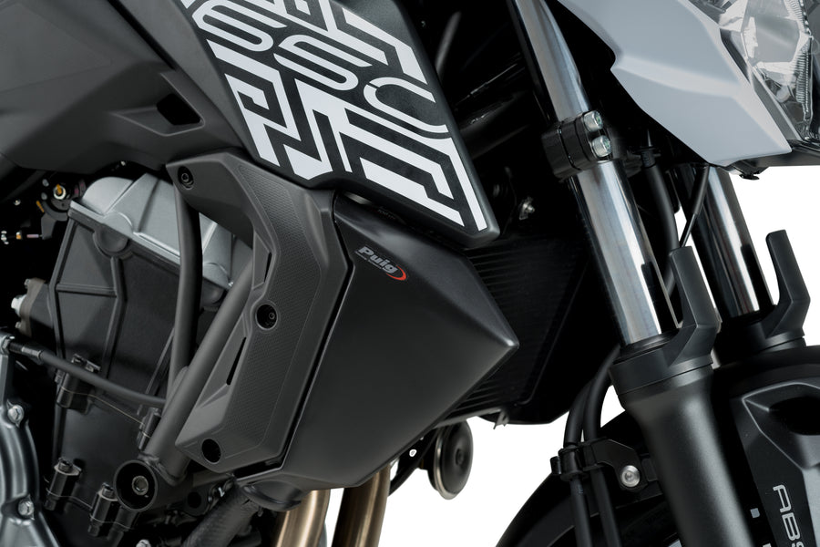 KAWASAKI Z 650 [2019] – Kühlerdeckel – Carbon look