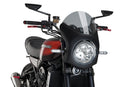 KAWASAKI Z 900 RS SE [2025] – Retro-Verkleidungscheibe – Getönt-9