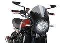 KAWASAKI Z 900 RS SE [2025] – Retro-Verkleidungscheibe – Stark getönt-8
