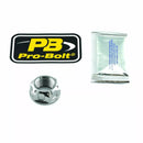 Triumph Speed ​​Triple 1050 [Pro Bolt] - Axis Nut for Swinge, Titanium-3