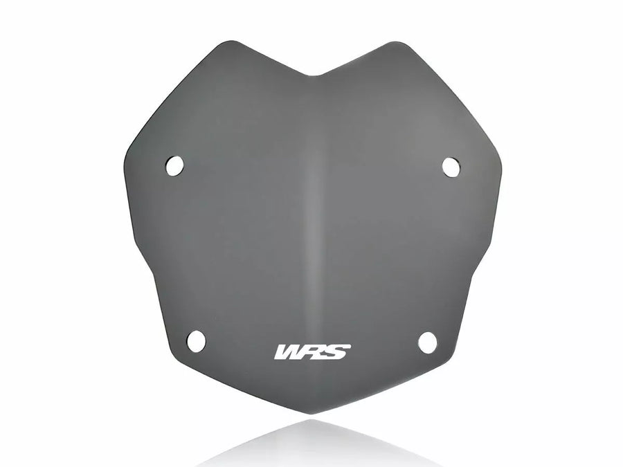 BMW R 1200 R [WRS] - vindrutan