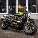 harley-davidson sportster s [HEINZ BIKES] – NANO Strahler-4