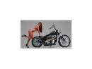 Harley Davidson FL Shovel [1982-1984] – Super Charger Riemenscheibe Chrom 1 1/2" 70 …-3