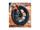 Harley Davidson Dyna [2000-2005] -eliminator 7 Beltskiva svart 1 1/8 "70 tänder-7