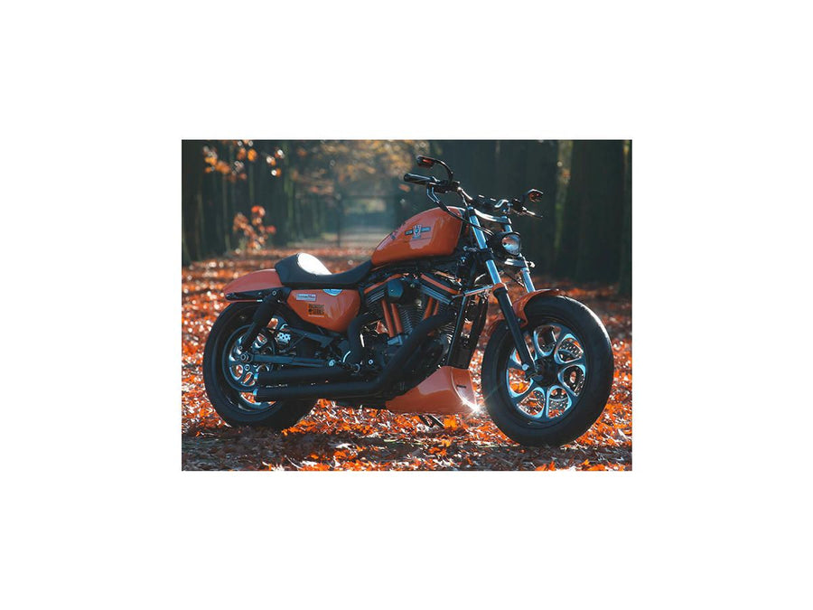 Harley Davidson Dyna [2000-2005] -eliminator 7 Beltskiva svart 1 1/8 "70 tänder
