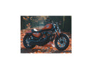 Harley Davidson Dyna [2000-2005] -eliminator 7 Beltskiva svart 1 1/8 "70 tänder-8