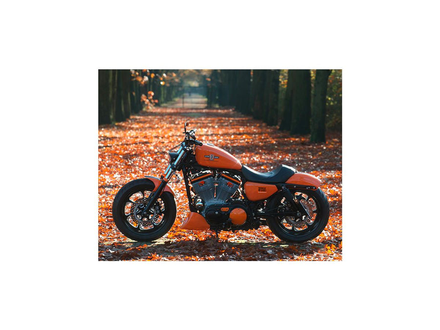 Harley Davidson Dyna [2000-2005] -eliminator 7 Beltskiva svart 1 1/8 "70 tänder