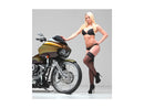 Harley Davidson Sportster [2014-2020] -T-5 2-delad bromsskiva Chrome 11.8 "-8
