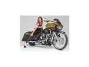 Harley Davidson Sportster [1986-2010] – T-5 2-teiliger Bremsscheibe Chrom 11,5"-4