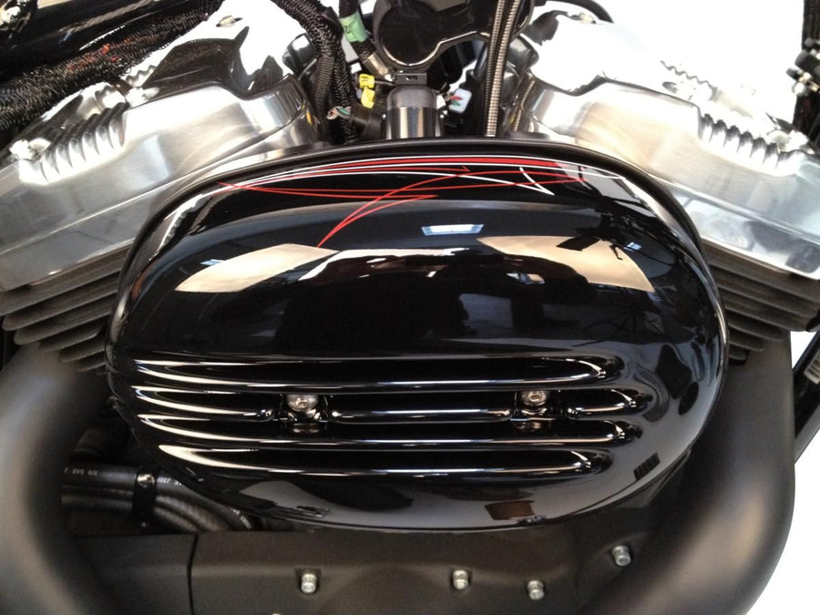 Harley Davidson Sportster [2004-2020] -Fin Air Filter Cover Black Gloss