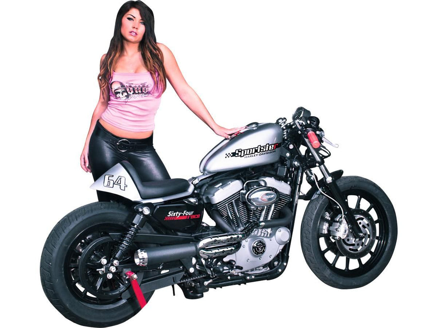 Harley Davidson Sportster [2004-2020]-Heck for Sporter Cafe Racer models