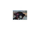 Harley Davidson FLHTCUI [2005-2006] – Hochleistungs-Ersatzwindschutzscheibe Höhe: 4"-4
