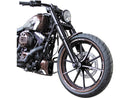 Harley Davidson FXSBSE [2013-2014] – Rennrahmenabdeckung für Softail Modelle-2