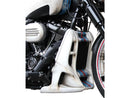 Harley Davidson FXBR [2023-2025] – Renn-Kühlerabdeckung für Softail Modelle-3