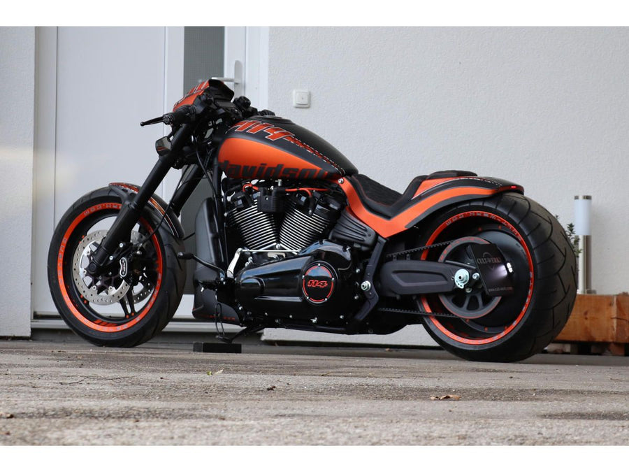Harley Davidson FXDRS 114 Applikationsområde [2019-2020] -Sidmontering
