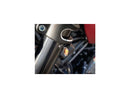 Harley Davidson Sportster S RH1250S Anwendungsbereich [2021-2025]-8