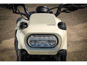 Harley Davidson Sporters S RH1250S [2021-2025] -FAT NUMBLIGHT THE CLADDING