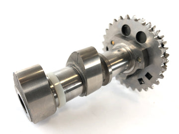 Aprilia RSV 1000 RR Factory [2009] - Kamaxelkamaxelcylinder bakom - 0
