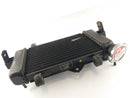 Yamaha YZF 125 RE06 [2011] - Cool Water Cooler-2