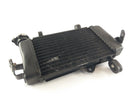 Yamaha YZF 125 RE06 [2011] - Cool Water Cooler-4