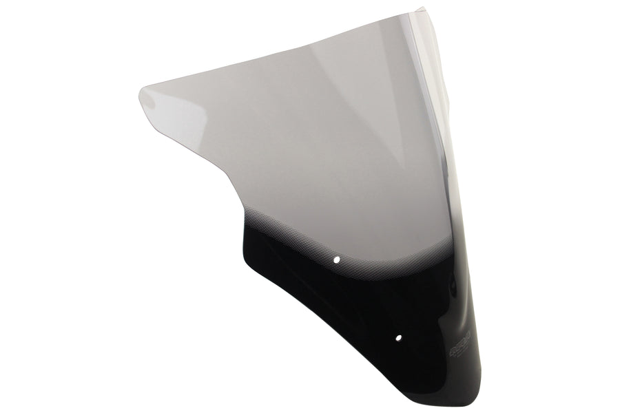 Kawasaki ER 6 F [2012-]-Racing Disc "R"