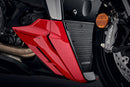 Ducati Streetfighter V2 [2022–2024] - Kühlerschutz-Set