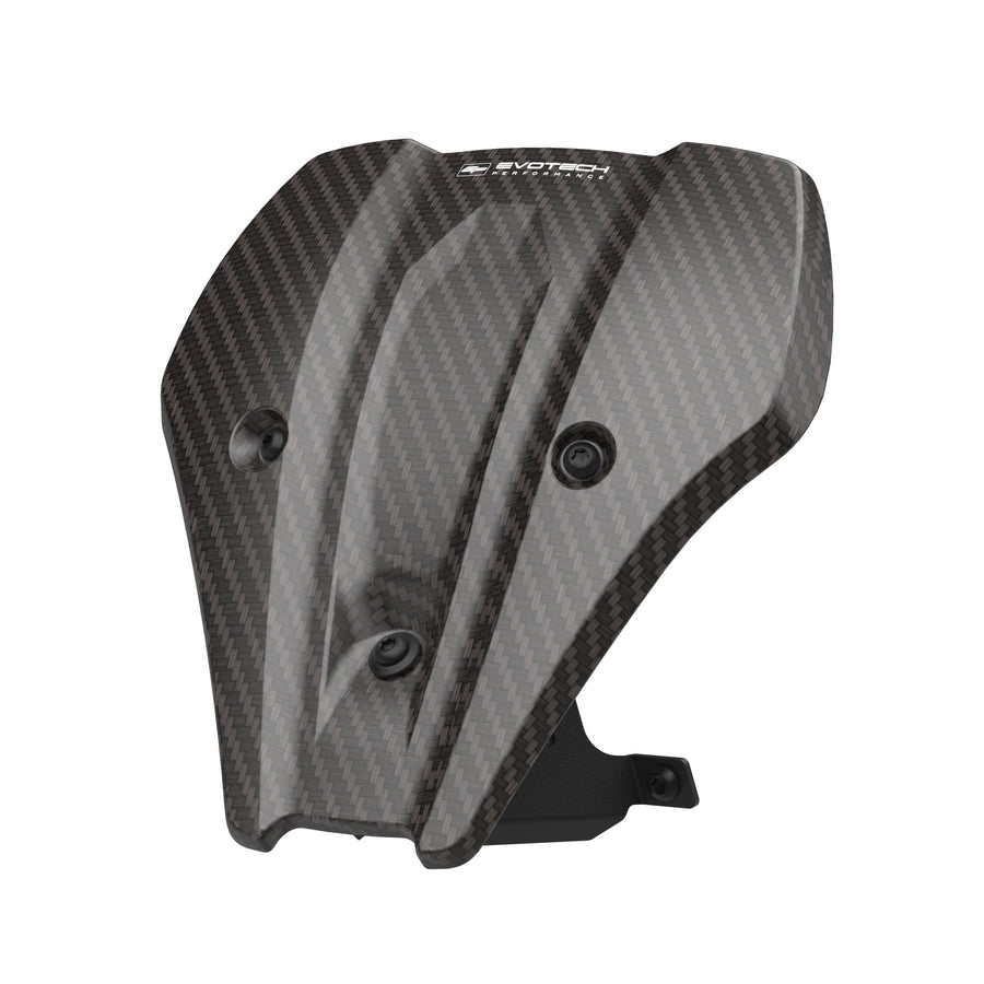 BMW F 900 R [2025+] - Carbon-Windschild