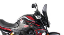 BMW F 900 R [2020-2024] – Tourenscheibe "NTN"-5