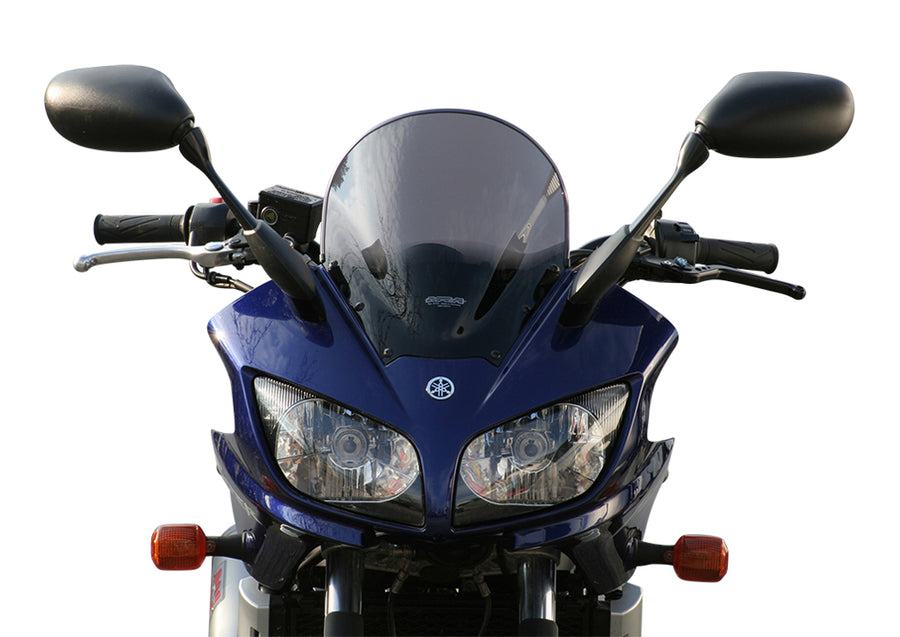 Yamaha FZS 1000 FAZER [2001-2005] – Racingscheibe "R"