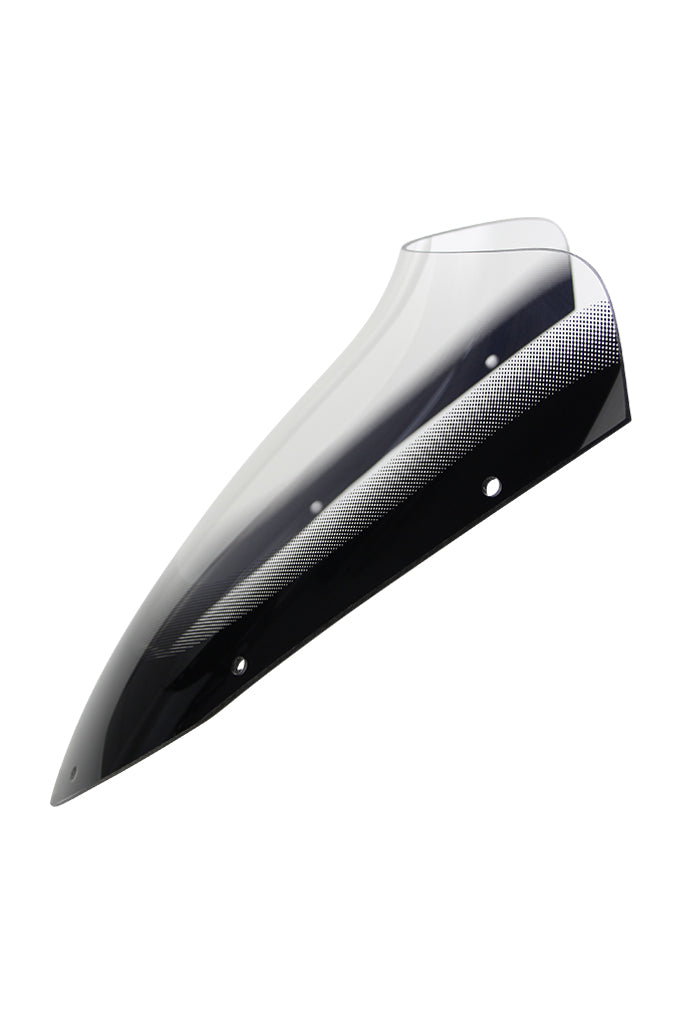Yamaha FZS 600 FAZER [1998-2001] – Spoilerscheibe "SN"