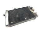 Aprilia RSV 1000 Tuono RP [2005] - Water Cooler Cooler-2