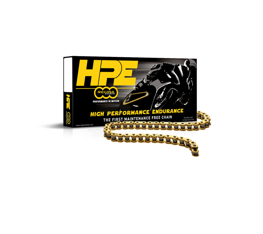 DUCATI 1199 PANIGALE [2012-2021] - Z-ring chain