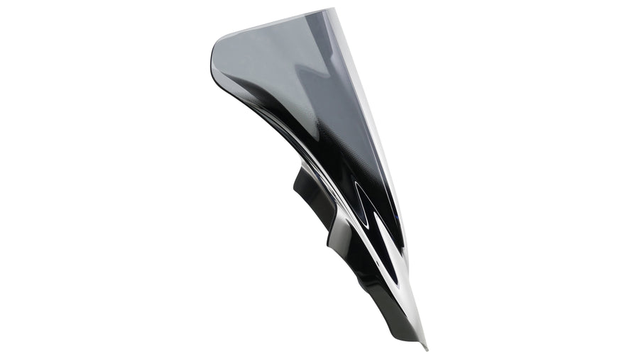 Ducati Hyperstrada 821/939 [2013-]-Racing Disc "R"