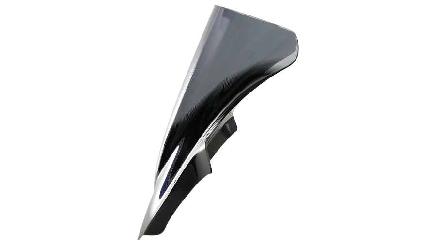 Ducati Hyperstrada 821/939 [2013-]-Racing Disc "R"