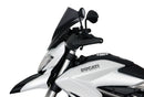 Ducati Hyperstrada 821/939 [2013-]-Racing Disc "R"-9