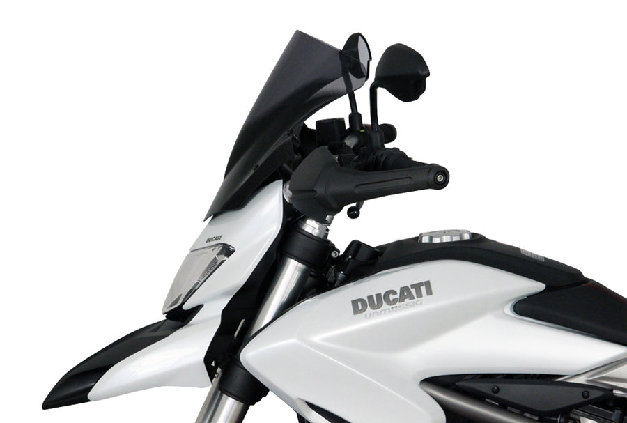 Ducati Hyperstrada 821/939 [2013-]-Racing Disc "R"