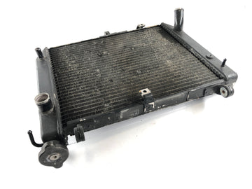 Yamaha YZF R1 RN04 [2000] - Water Cooler Cooler - 0